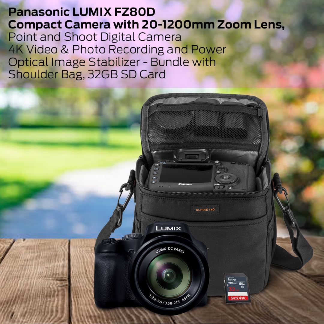 Amazon.com : Panasonic LUMIX FZ80D 18.1MP Point & Shoot