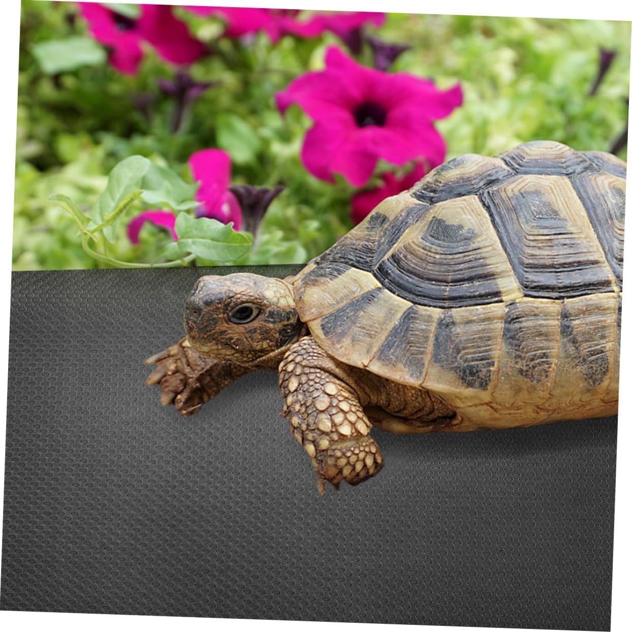 Reptile Carpet Substrate for Bearded Dragon Gecko Snake and Tortoise Non-Slip Easy to Clean 2-Piece Set for Reptile Tanks and Terrariums