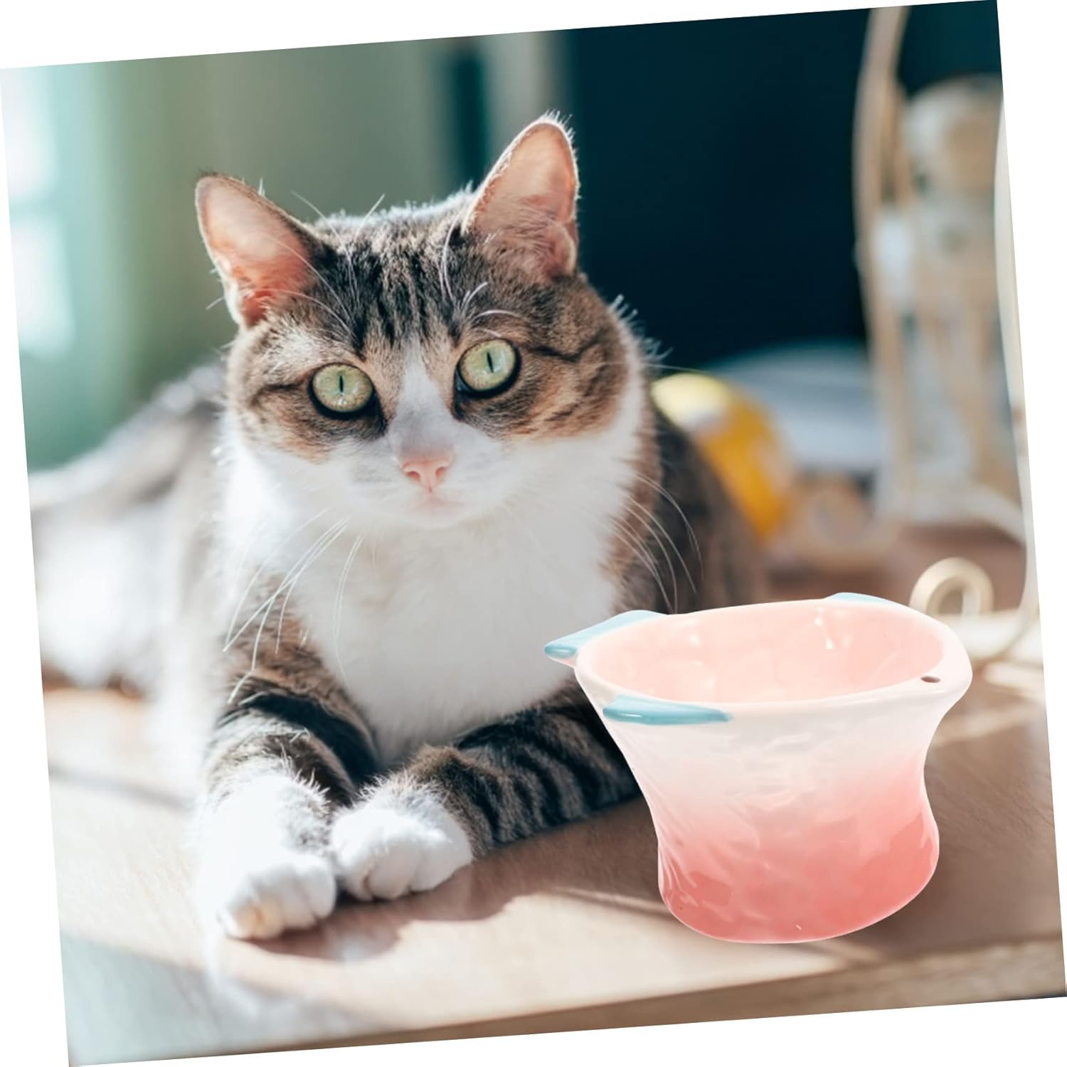 UPKOCH Creative Cat Food Bowl Elevated Design for Comfortable Feeding Unique Fish Shaped Pet Dish Capacity Cat Treat Plate Easy to Present for