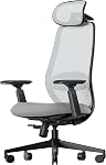 ProtoArc EC200 Ergonomic Office Chair – High-Back Mesh Computer Chair with Lumbar Support, Adjustable Seat Depth & 3D Headrest Ergo Desk Chairs for Work from Home, 8+ Hours Comfort – Black