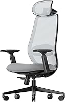 Vista 1 de ProtoArc Silla ergonómica de oficina – EC200 Silla de escritorio de malla con respaldo alto para computadora con soporte lumbar, reposacabezas