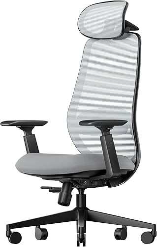 ProtoArc Silla ergonómica de oficina – EC200 Silla de escritorio de malla con respaldo alto para computadora con soporte lumbar, reposacabezas