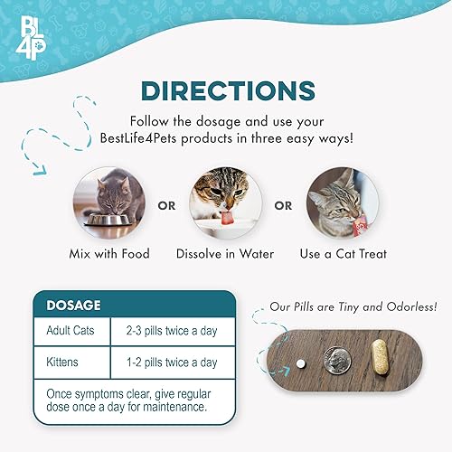 Miniatura 5 de Suplemento de comodidad respiratoria para gatos, soporte felino natural fácil para todas las estaciones, tos, congestión nasal ocasional y