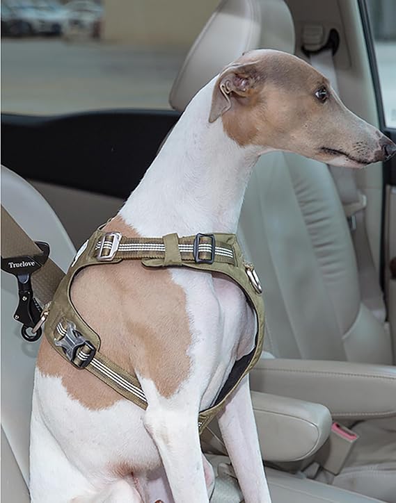 Truelove Lightweight Dog Car Seatbelt Safety Buckle Lock, Dog Seat Belt for Car, Fit Dog Car Harness/Collar for Small, Medium, Large Dogs