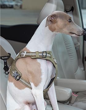 Truelove Lightweight Dog Car Seatbelt Safety Buckle Lock, Dog Seat Belt for Car, Fit Dog Car Harness/Collar for Small, Medium, Large Dogs