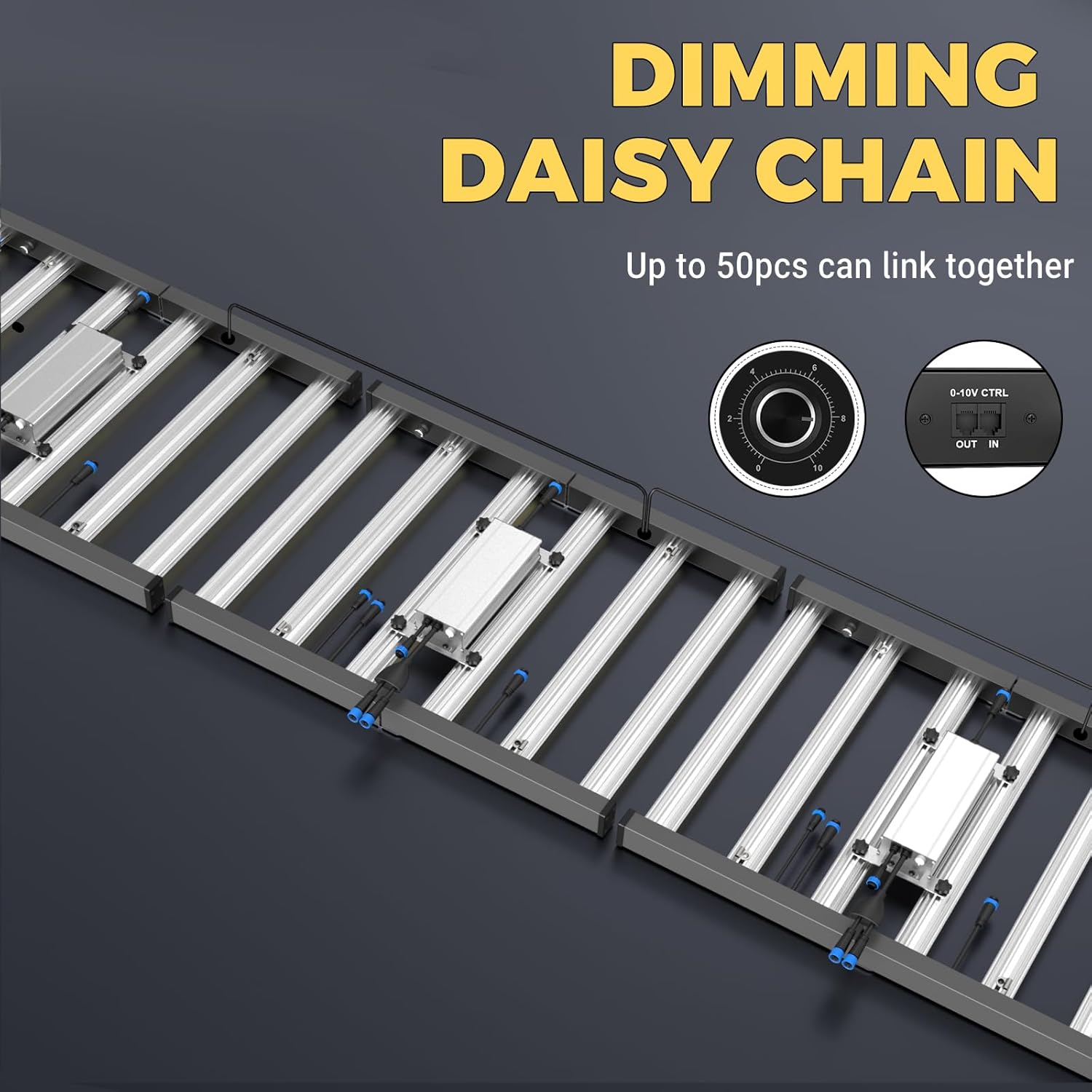 Dimming and Daisy Chain connection points