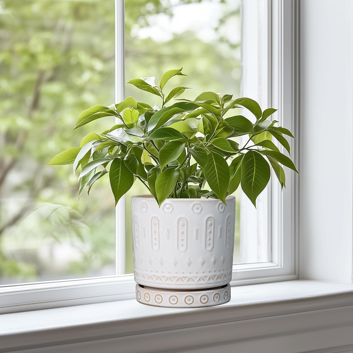 Eightpot Pot for Plants 6 Inch - Ceramic Planter for Indoor Plants Decorative Plant Pot with Drainage Holes and Saucer Outdoor Flower Pot Modern Succulent Pots for Office Desk Decor White