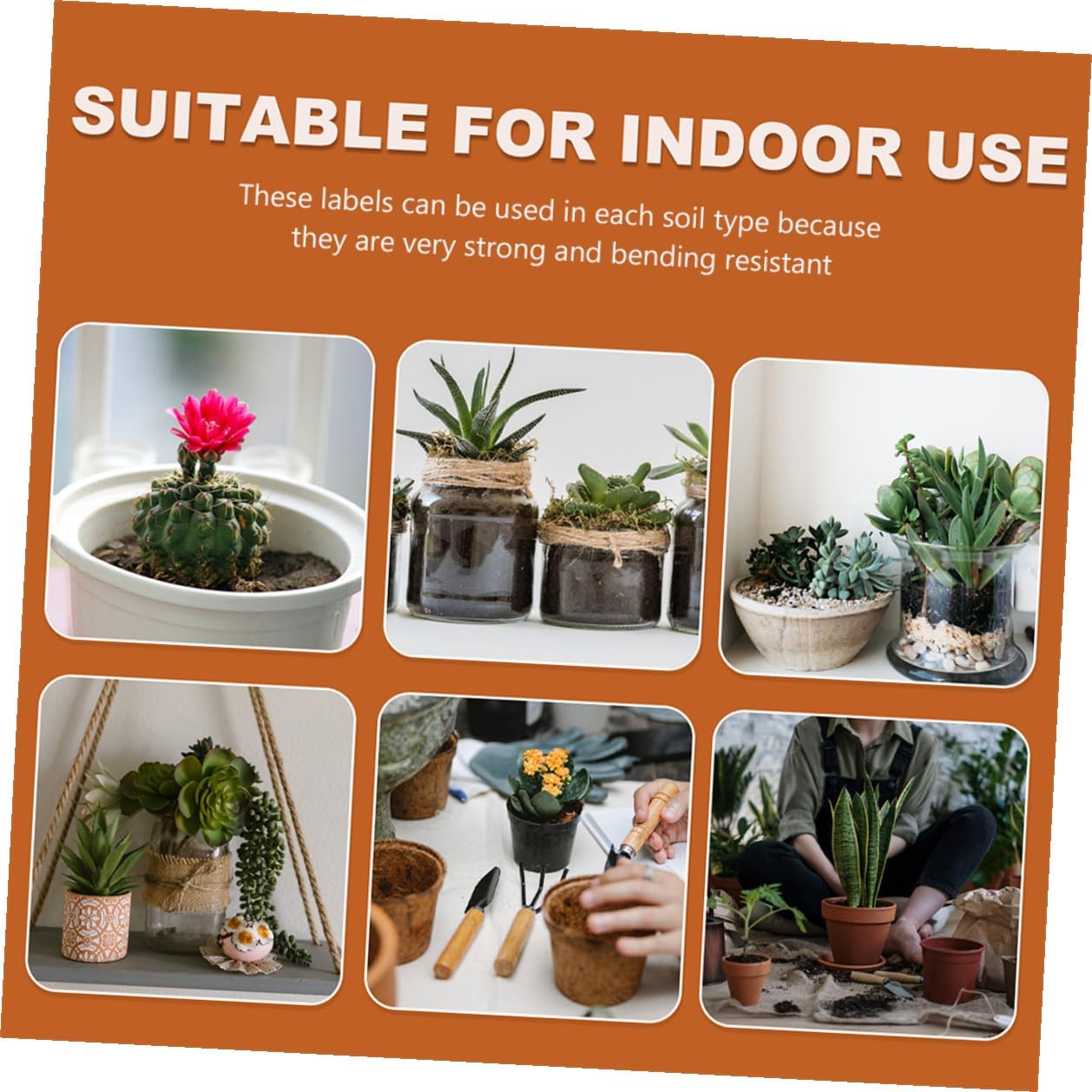 600pcs Waterproof Plastic Plant Labels Stakes for Gardening and Potted Plants, Multi-Color Small Insert Tags 10x1.8cm for Outdoor Herb and Flower Marking