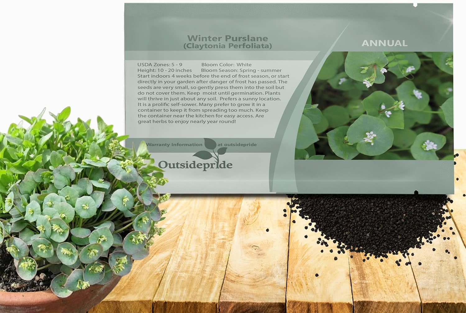 Outsidepride Winter Purslane Seeds for Planting - 5,000 Pcs Annual, Easy to Grow, Vitamin-Rich & Drought Tolerant Succulent Seeds for Culinary, Xeriscaping, Containers & Hanging Baskets