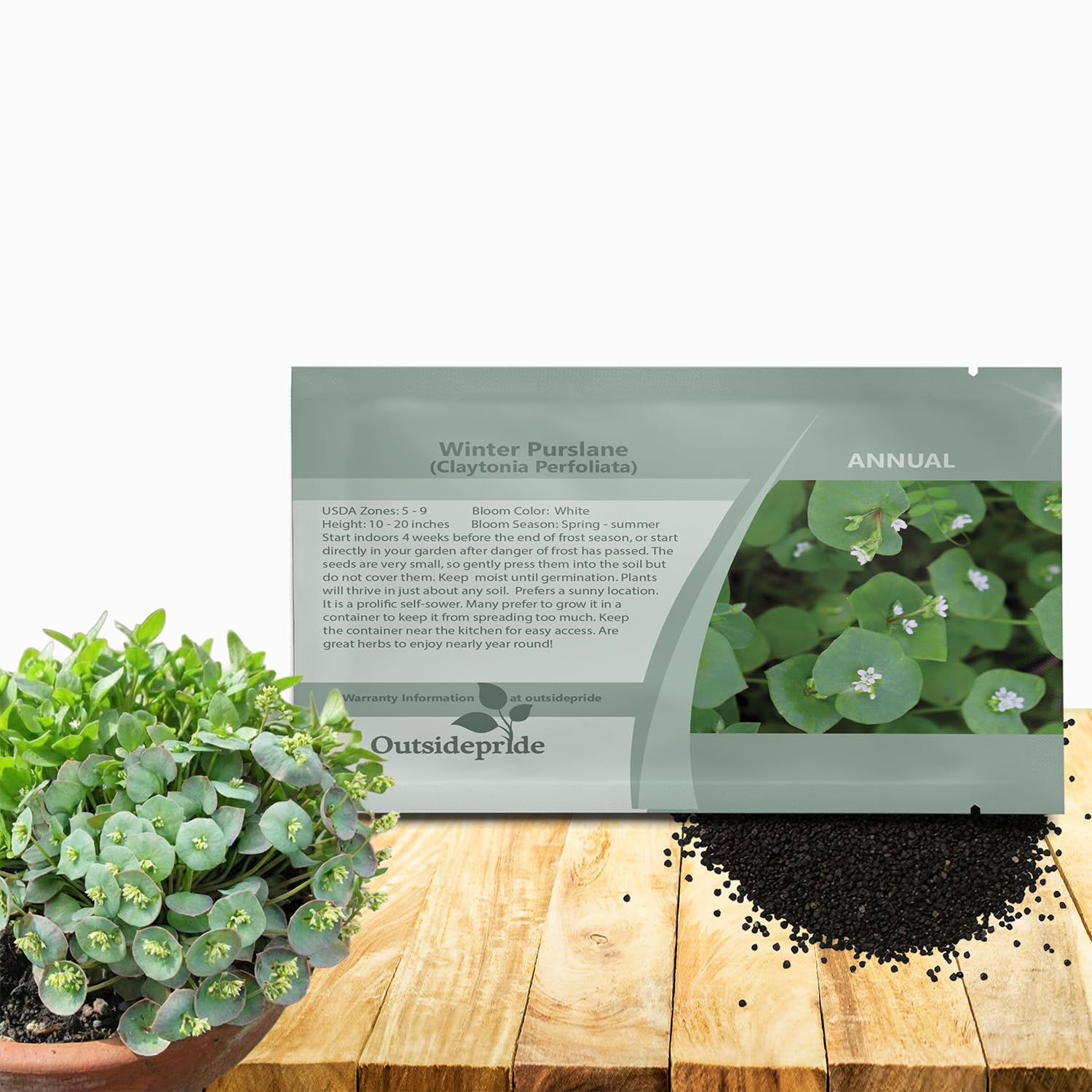 Outsidepride Winter Purslane Seeds for Planting - 5,000 Pcs Annual, Easy to Grow, Vitamin-Rich & Drought Tolerant Succulent Seeds for Culinary, Xeriscaping, Containers & Hanging Baskets