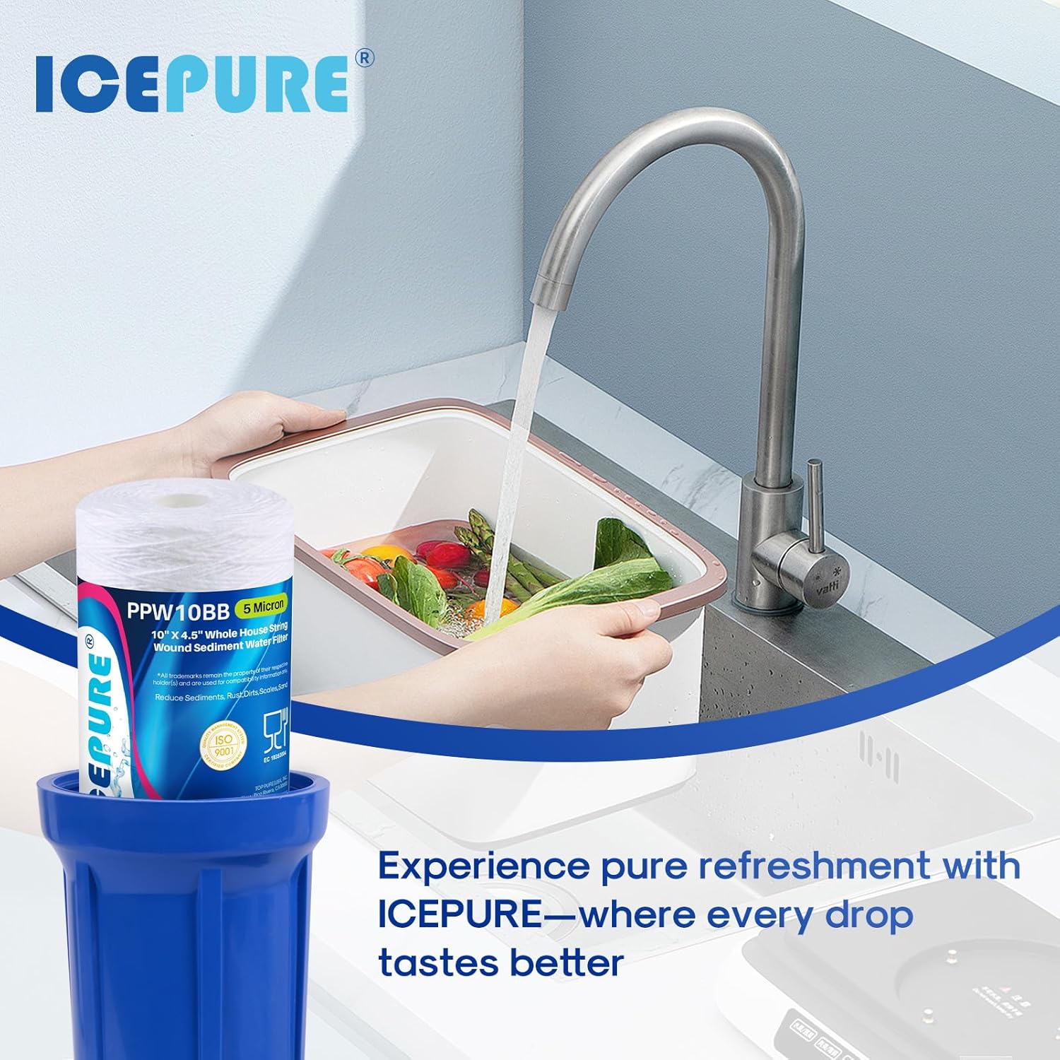 A kitchen sink with a blue filter housing visible, and a person washing vegetables, implying pure water for daily use.