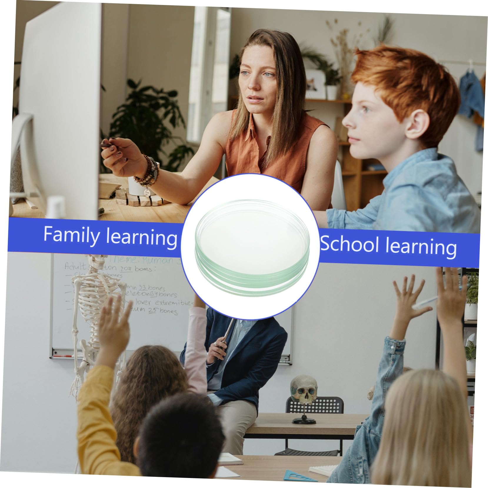 MAGICLULU de Vidrios de Reloj Planos Transparentes para Laboratorio 10 Piezas Material Sintético Resistente y Seguro Ideales para Clase de Química y Uso Escolar