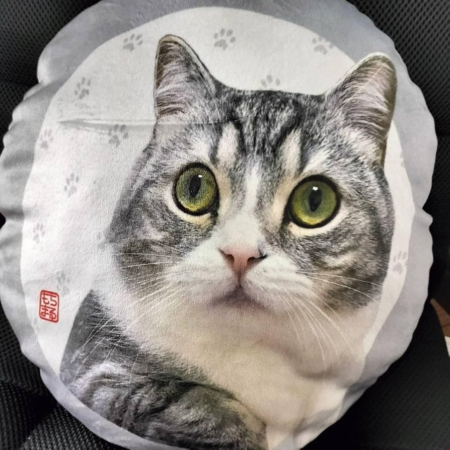 Amazon.co.jp: もちまる日記 もちふわ生地 ラウンドクッション