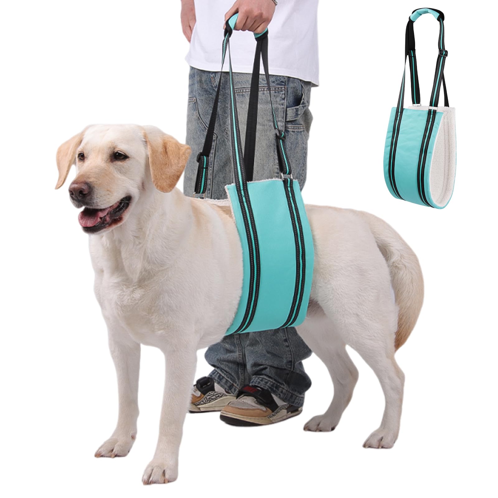 Dog Lifting Harness,Mobility Aids for Medium and Large Dogs,Adjustable Assistance Support Strap for Injured,Disabled,Elderly Dogs (Green