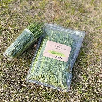 Amazon | Usagi Heart 緑 乾燥 オーツヘイ ストレート 70g 1袋