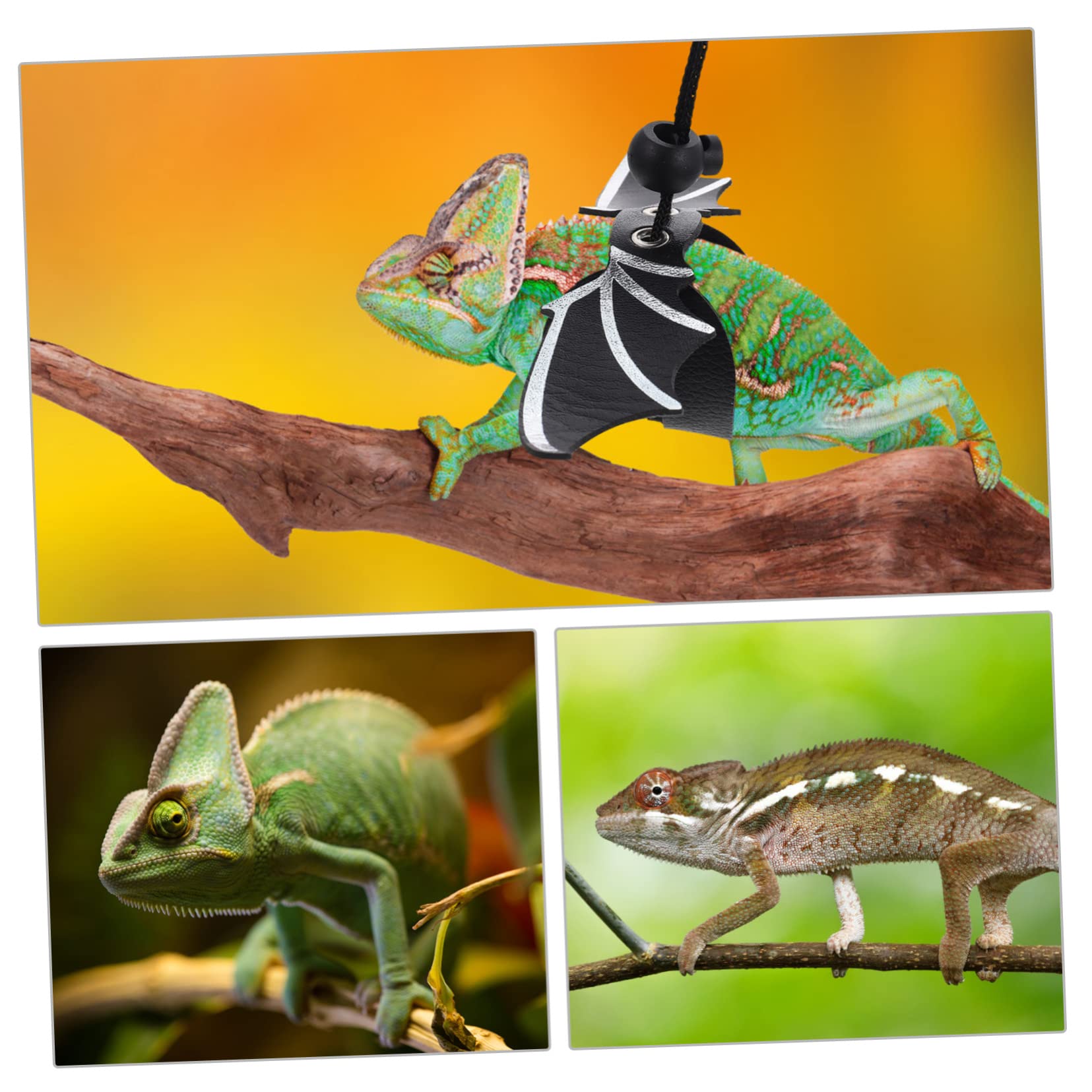 DOITOOL 4 Juegos De Correas para Lagartos Reptiles Pajarita Sombrero Correa para Exteriores Ajuste Cómodo Diseño Resistente.