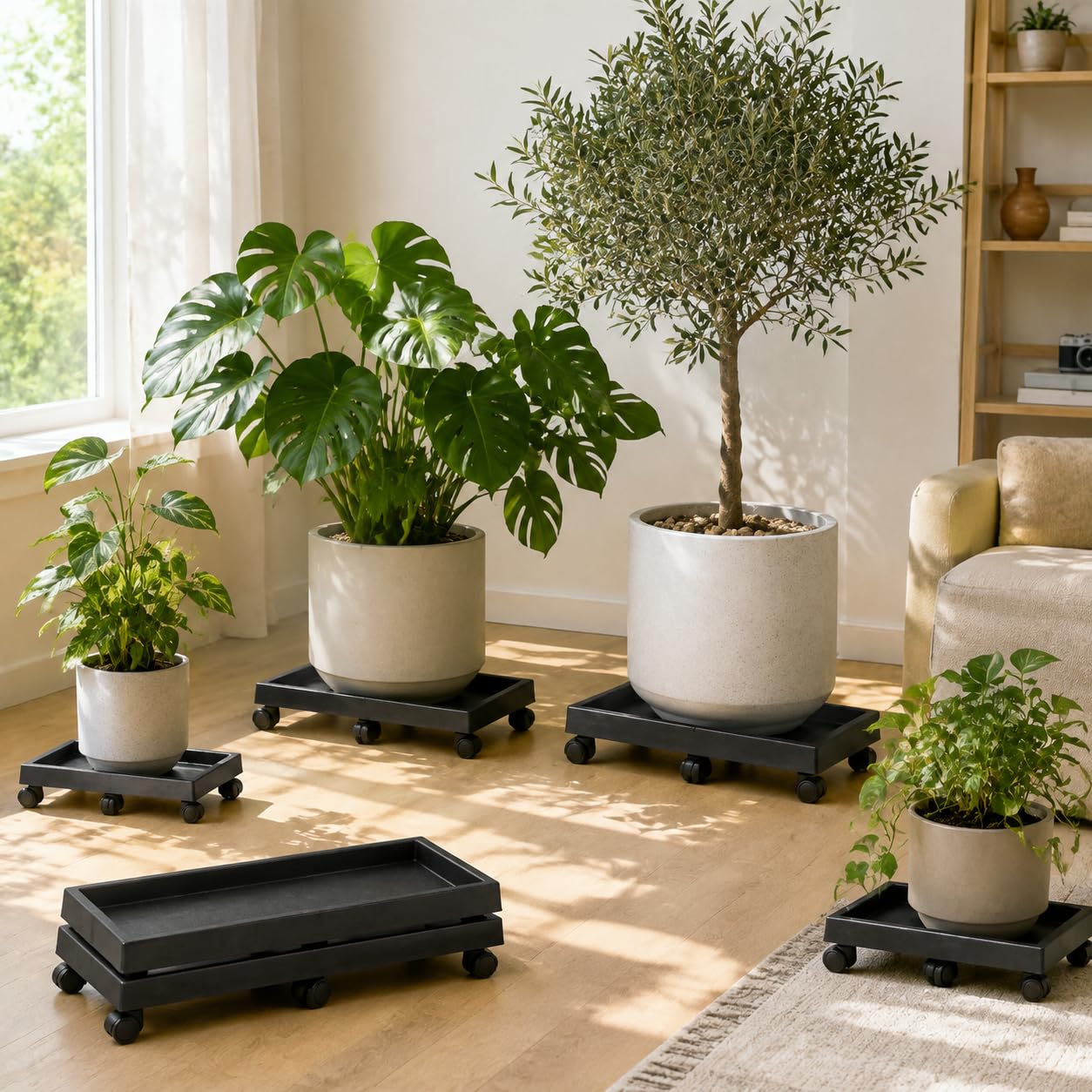 Pflanzencaddy, Pflanzenroll aus Resin , Rechteckig Rollen 44.7cm