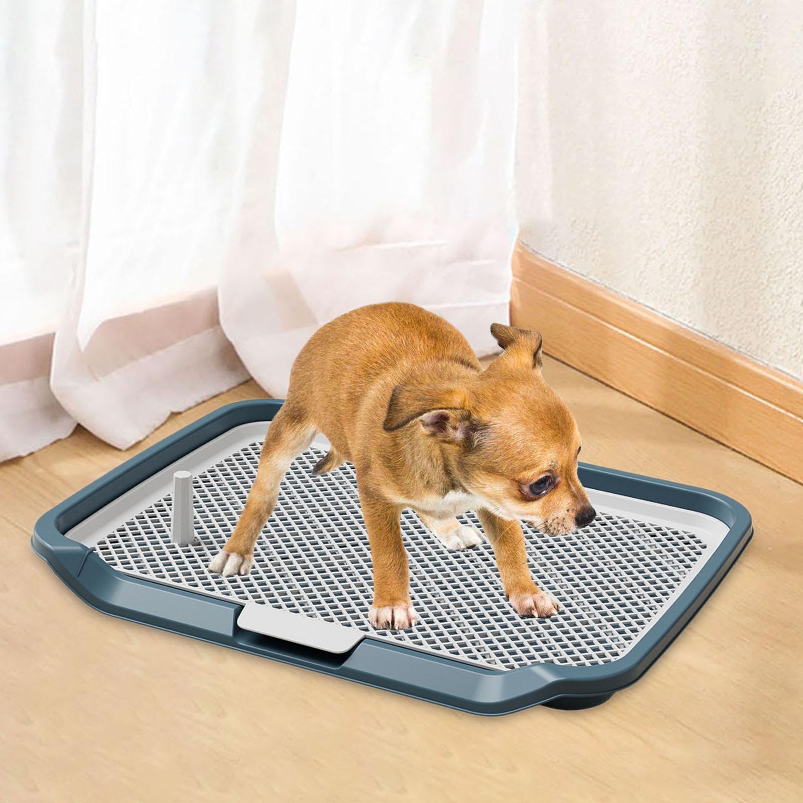 Inodoro para Perros, Inodoro para Gatos, de Entrenamiento para Cachorros, Inodoro para Animales Pequeños/Conejos Fabricado en Material PP C