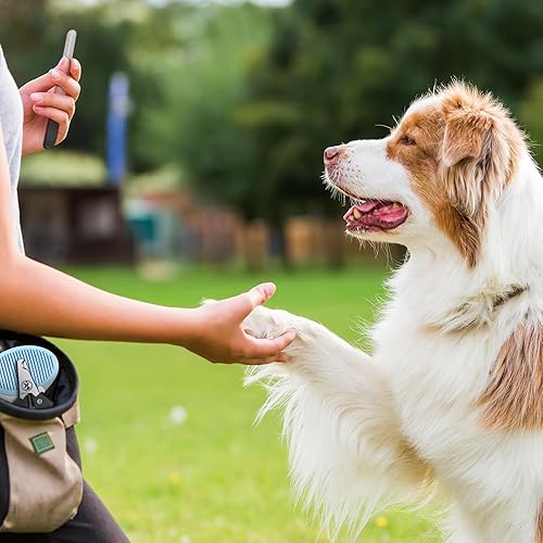 Miniatura 4 de Yaomiao 9 piezas de cepillo de aseo para perros, kit de limpieza automática para perros, cepillo para eliminar pulgas y cortaúñas y lima para