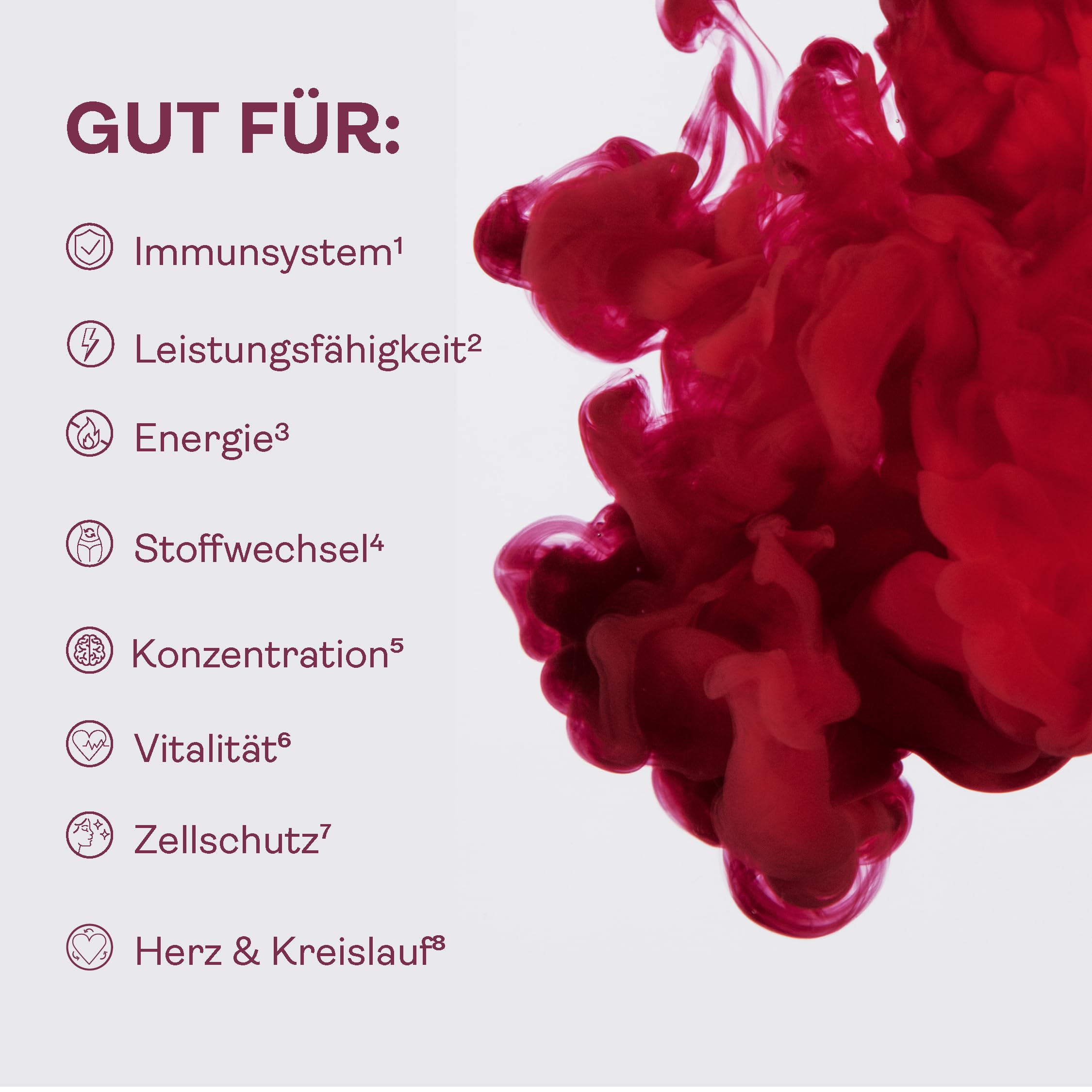 Mikronährstoffkonzentrat 500 ml – Vitamine, Mineralstoffe, Spurenelemente & Antioxidantien aus heimischen Beeren & Früchten für Energie, Haut & Immunsystem – für die ganze Familie