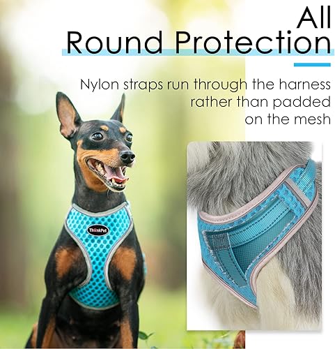 Miniatura 6 de ThinkPet Arnés de ventilación reflectante transpirable suave sin tirones para cachorros, chaleco de ventilación para cachorros pequeños y medianos