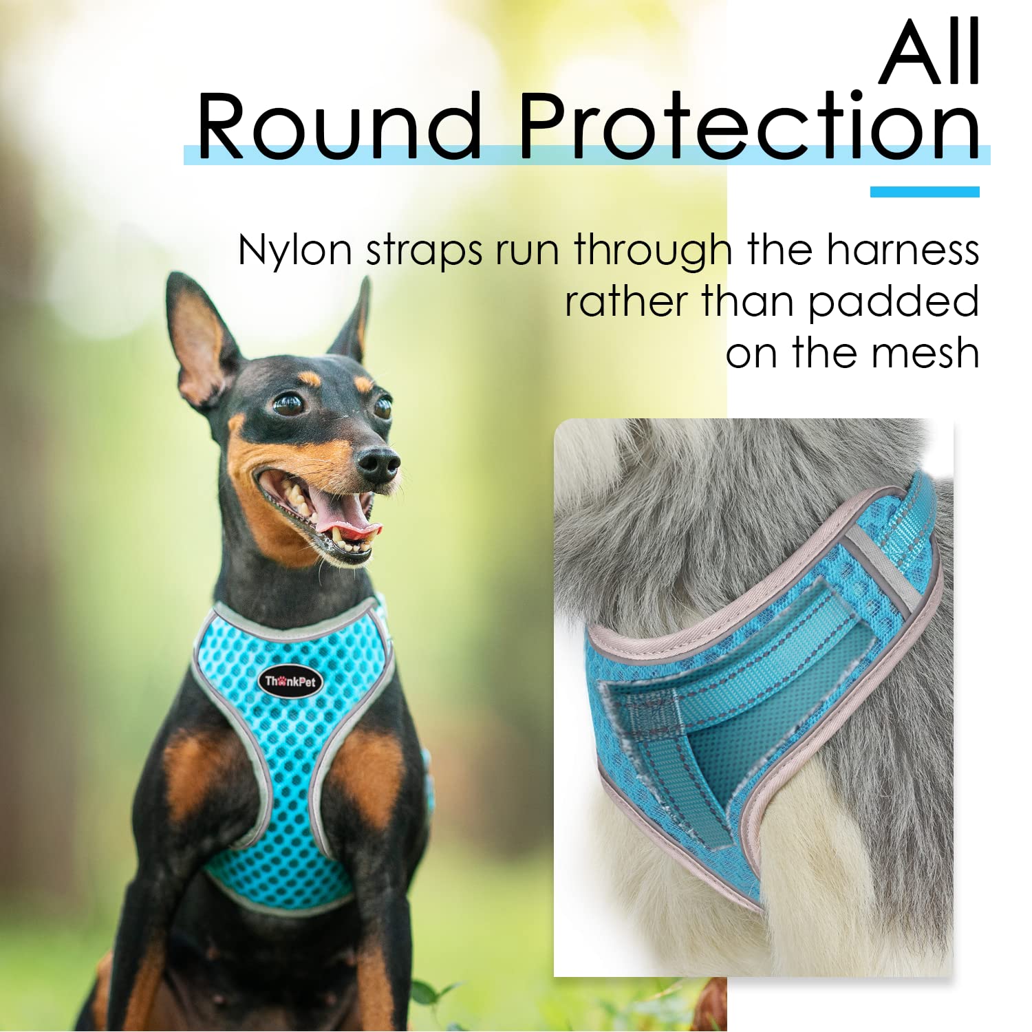 ThinkPet Reflective Breathable Soft Air Mesh No Pull Puppy Choke Free Over Head Vest Ventilation Harness Leash Set for Puppy Small Medium Dogs Light Blue L — view 6