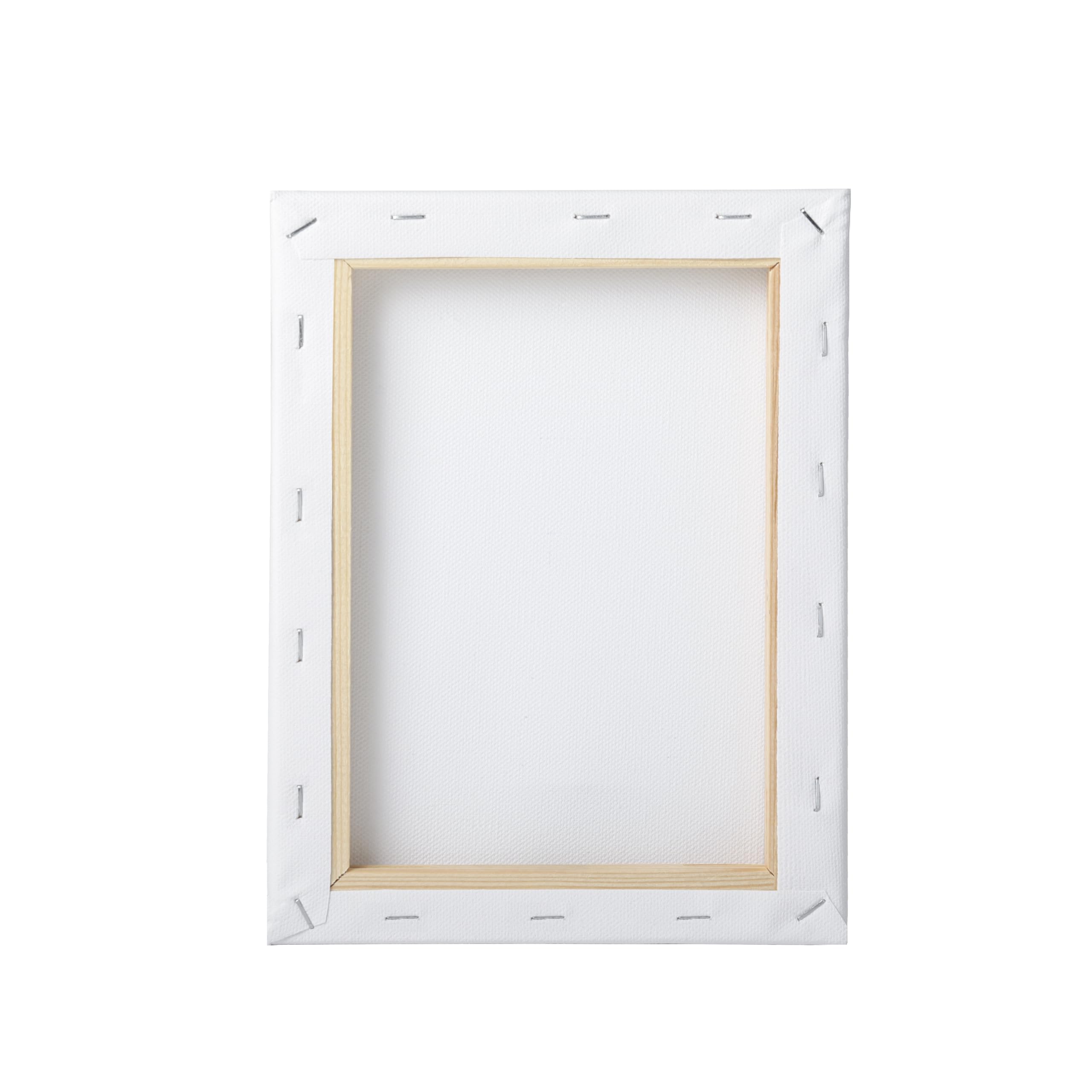 Juego de 10 Bastidores, Lienzos en Blanco de 20 x 30 cm, 100% Algodón, 380 g/m², Lienzo para Pintar