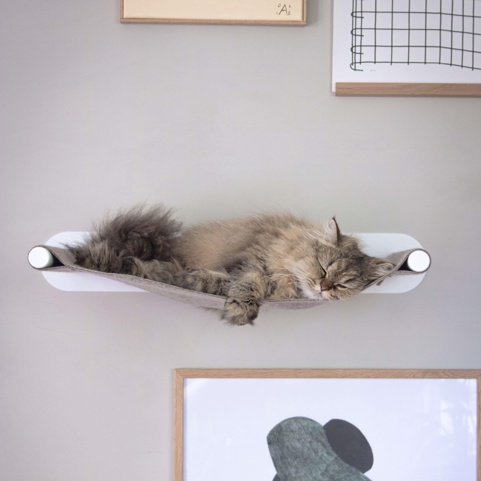 LucyBalu® Swing Hamac Mural pour Chat en Feutre Naturel I Blanc