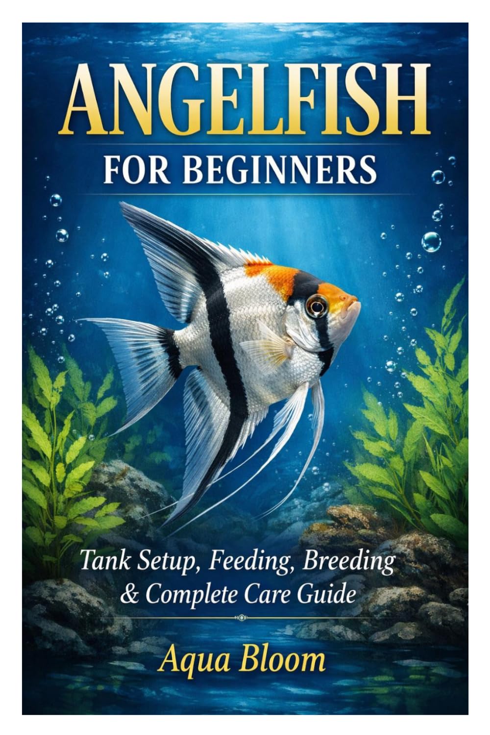 Angelfish for Beginners: Tank Setup, Feeding, Breeding & Complete Care Guide