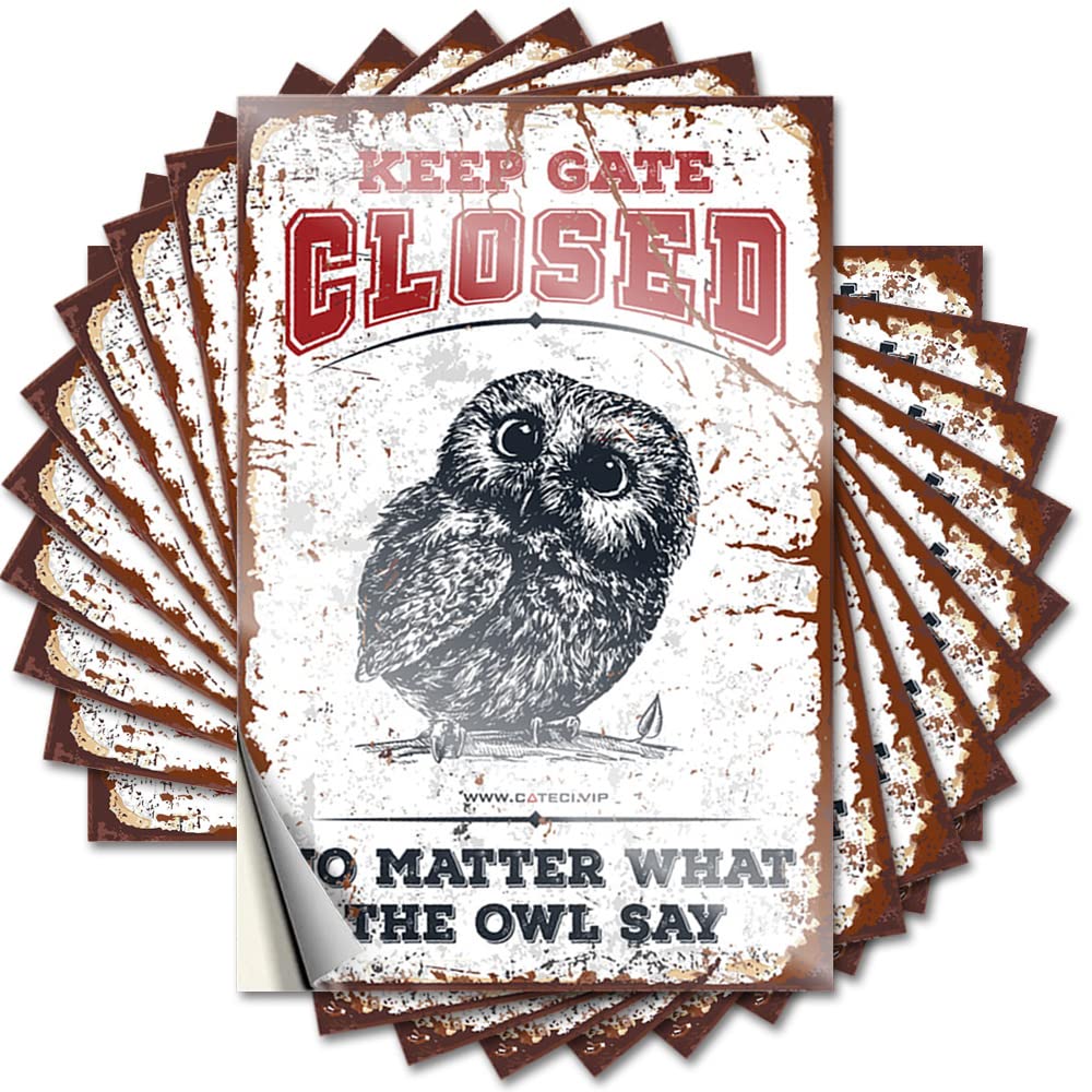 Funny Decor for Bar, Stickers Teens Helmet Keep Gate Closed No Matter What The Owl Say | Smiley Face Waterproof Vinyl Stickers(12X18CM)