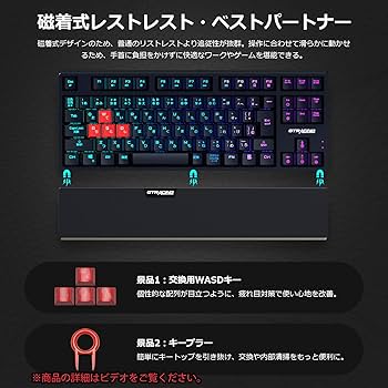 GTRACING ゲーミングキーボード テンキーレス 青軸 メカニカル キーボード 日本語配列 有線 RGB TKL コンパクト 着脱式ケーブル  パームレスト ゲーマー向け (メカニカルらしい爽快な入力) GT885-RGB