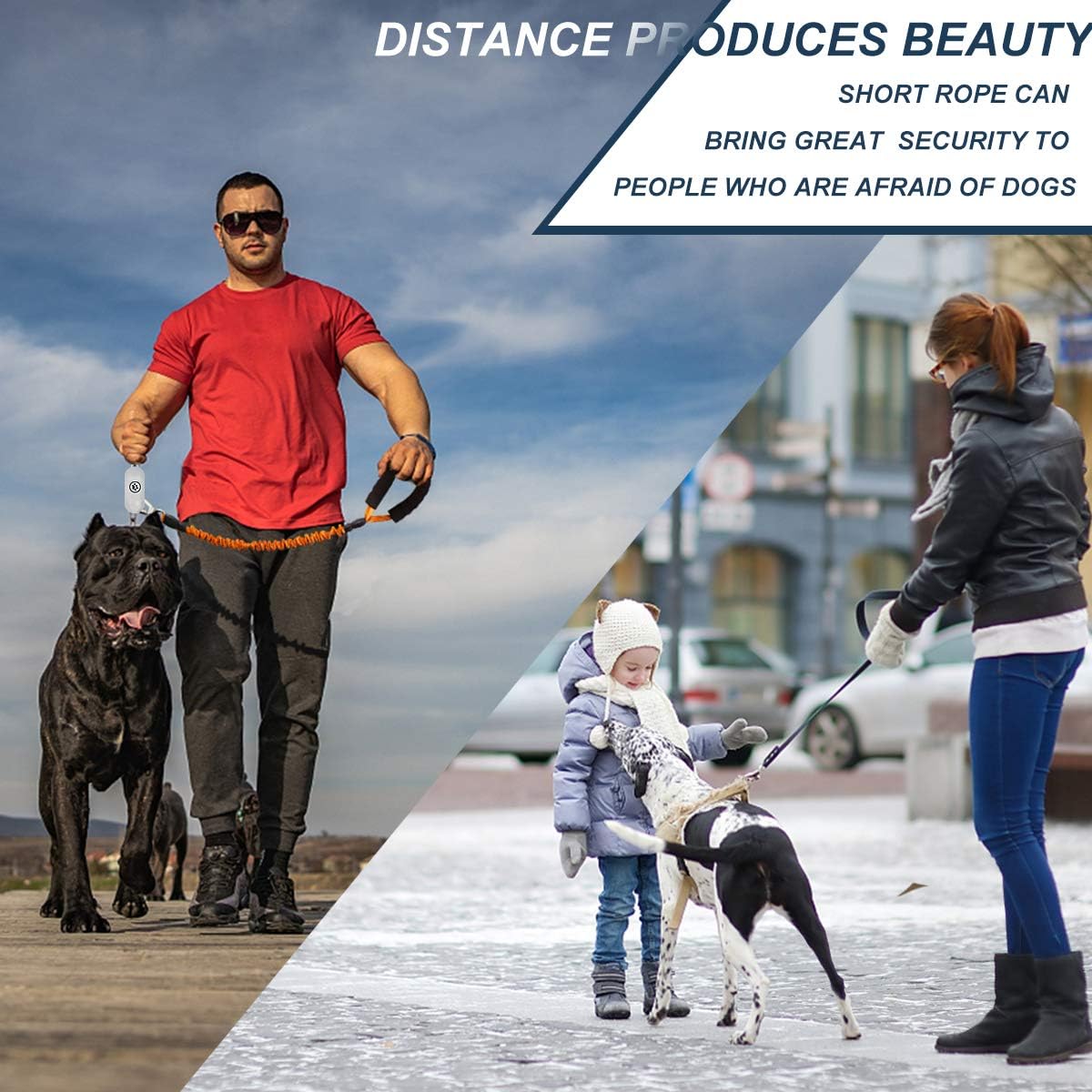 MUMUPET 2.6 FT Strong Dog Leash, Heavy Duty Training Dog Leash with Padded Handle, Tactical Bungee Dog Leash, Highly Reflective Threads for Medium Large Dog Leads, Upgraded Alloy Buckle is Safer