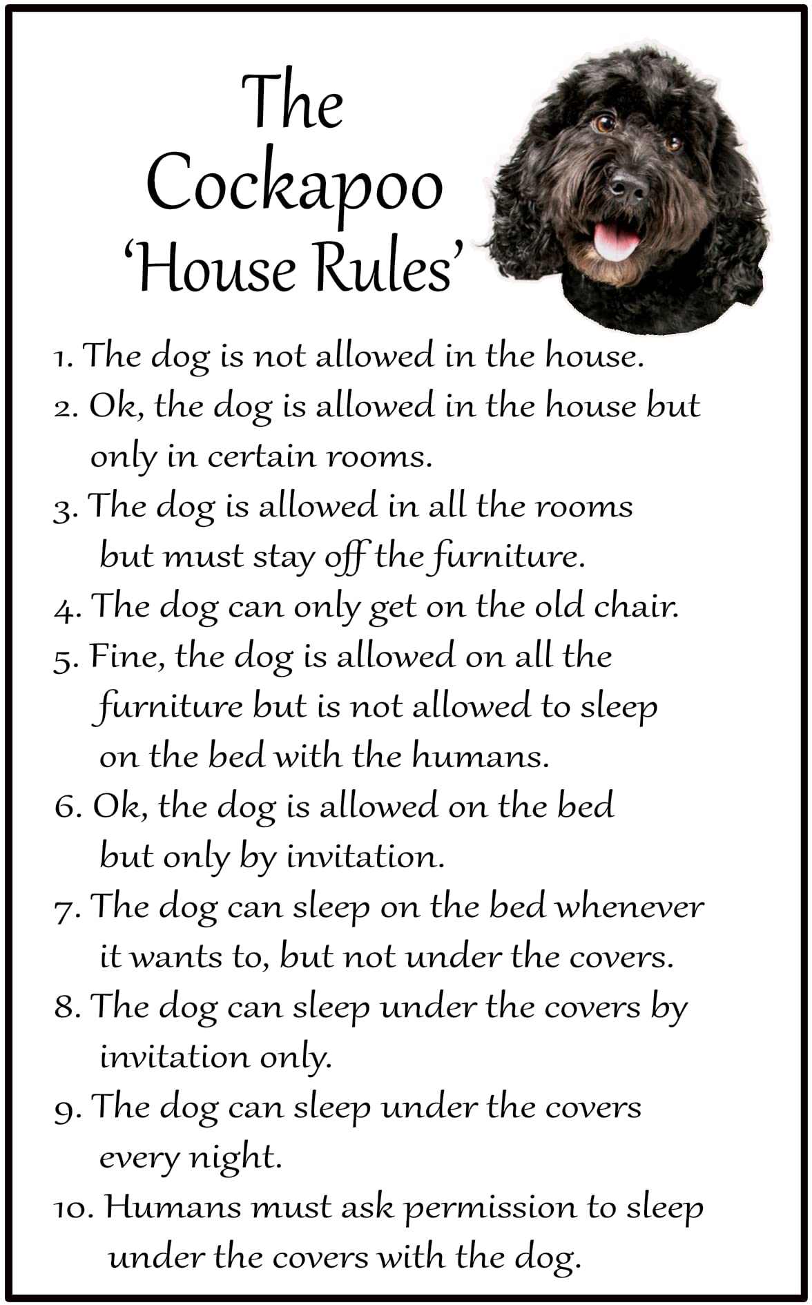 Fridge Magnets Black Cockapoo Gift - House Rules - Large Fun Flexible Fridge Magnet- Size 16Cms X 10 Cms (Approx. 6" X4")