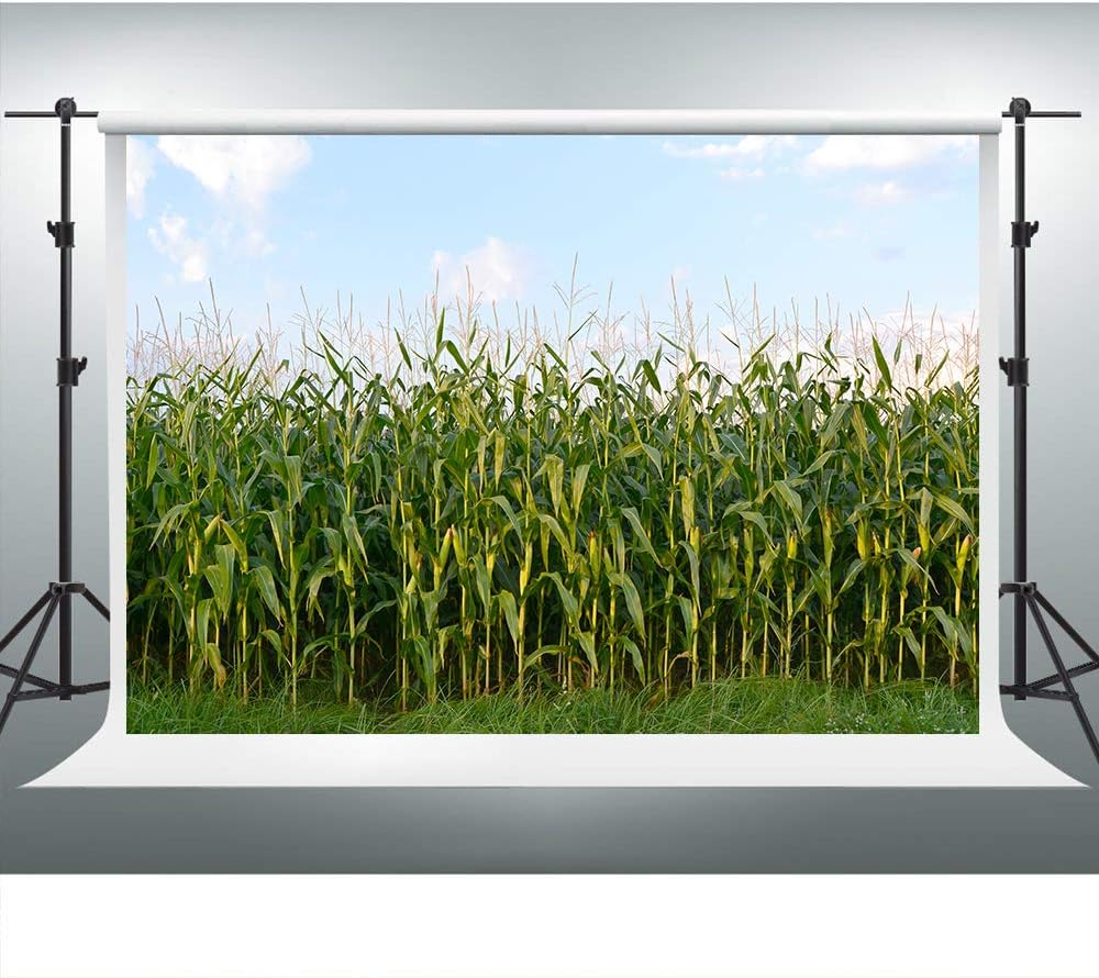 Corn Field Backdrop Rustic Farmland Crops Barnyard Themed