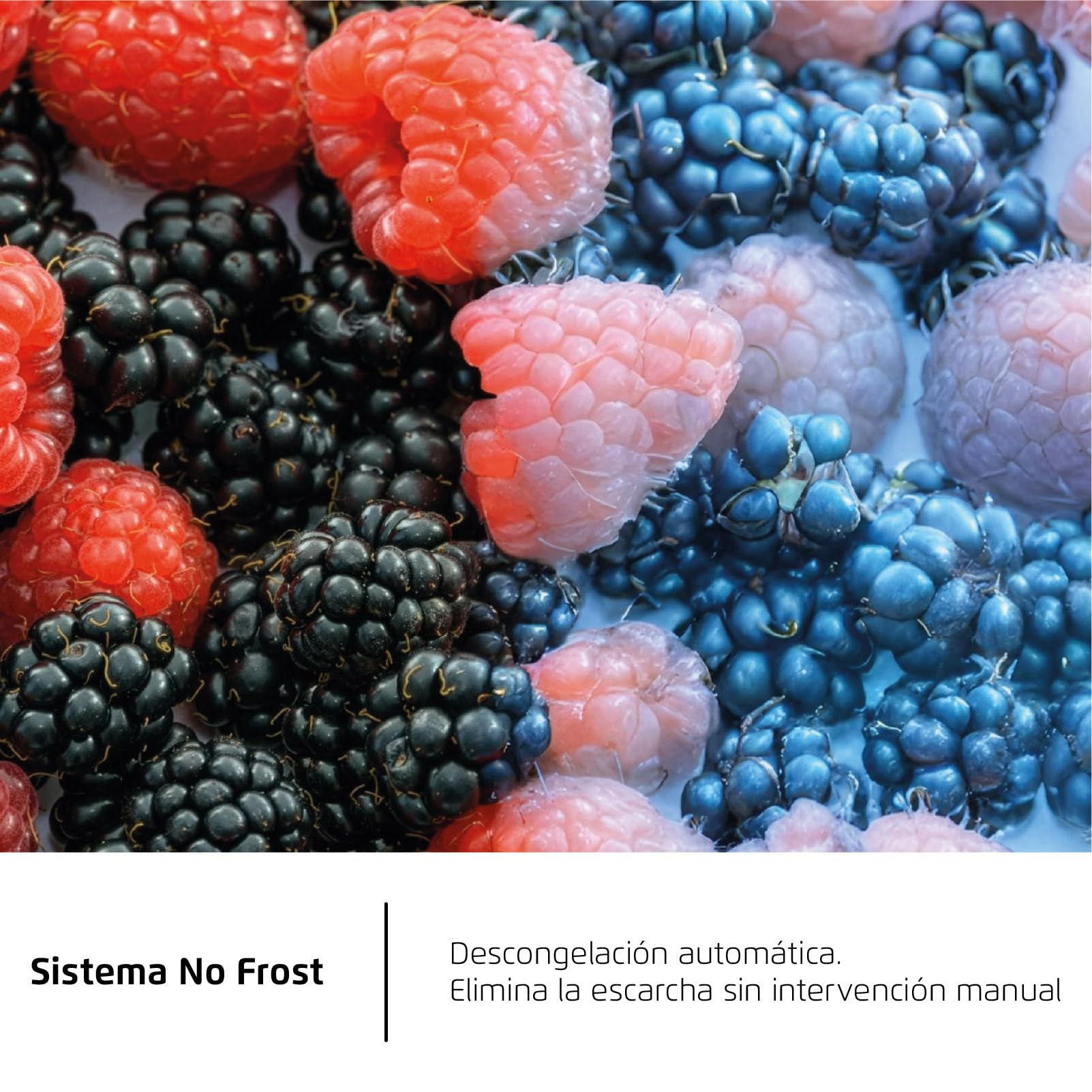 Corberó - Frigorífico Combi | CCHGL186NFN | 400 Litros | 187 cm | No Frost | Funciones Super, ECO y Vacaciones | Fresh Box | Cristal Negro