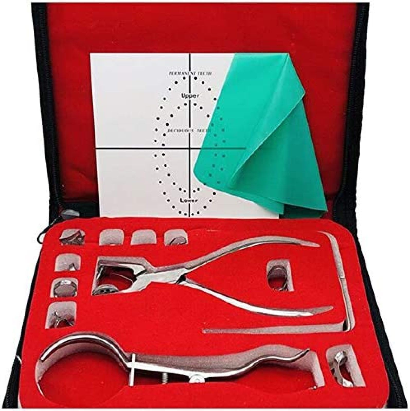 Kit diga di Gomma - Kit diga di Gomma endodontica Dentale - con Morsetti per punzone per Telaio Strumenti dentali