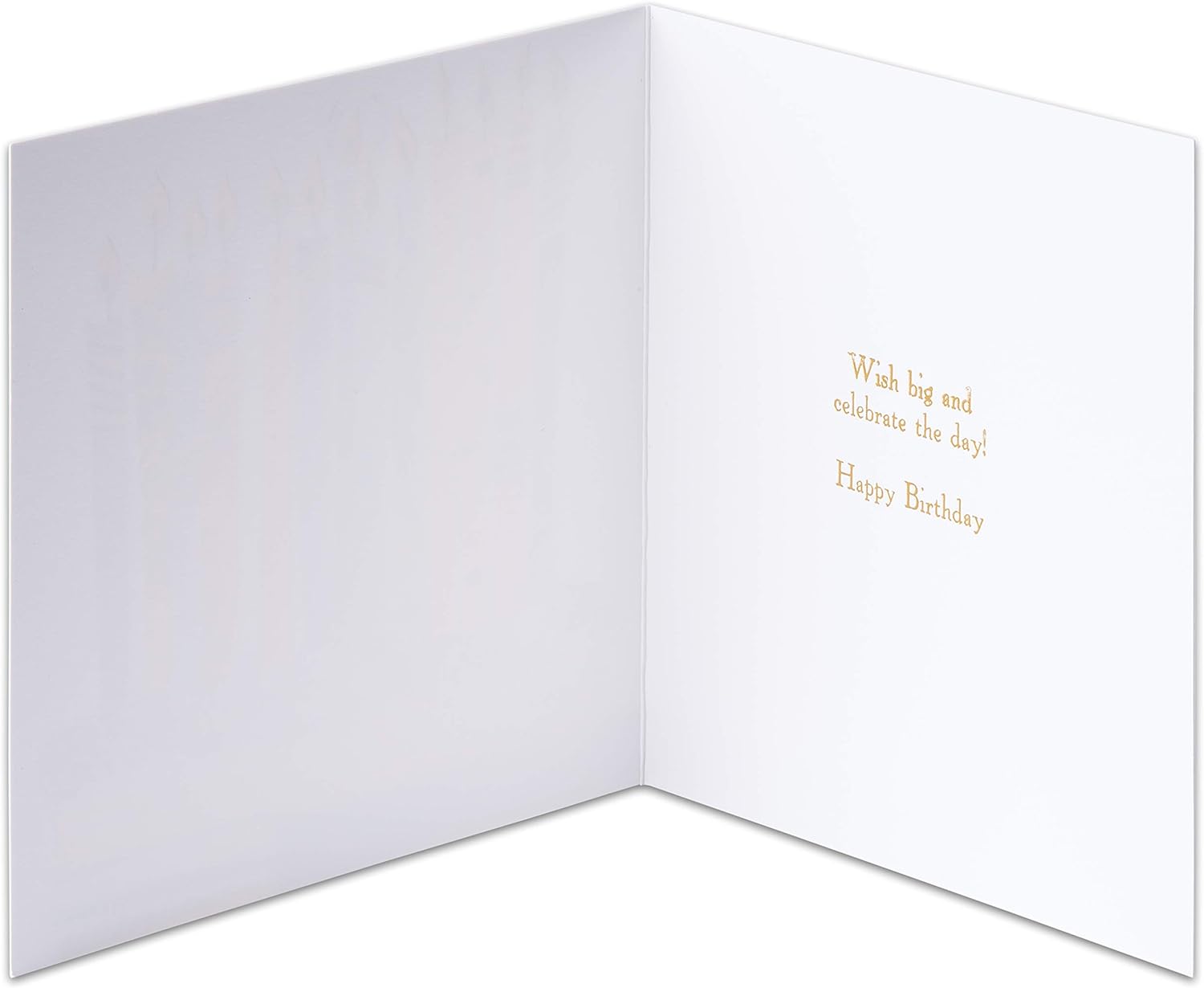 Papyrus Birthday Card (Wish Big) image 2