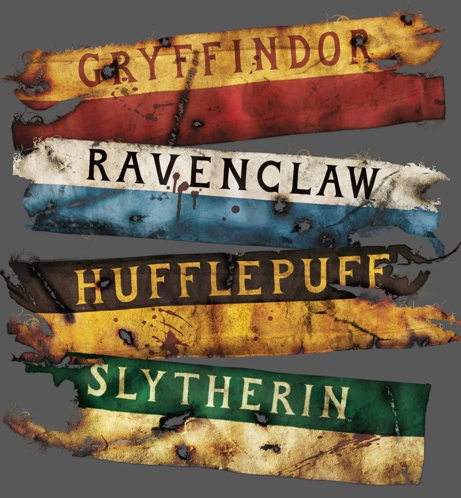 Harry Potter Battle House Banners Black Graphic Tee Toddler Boy to Youth Boy