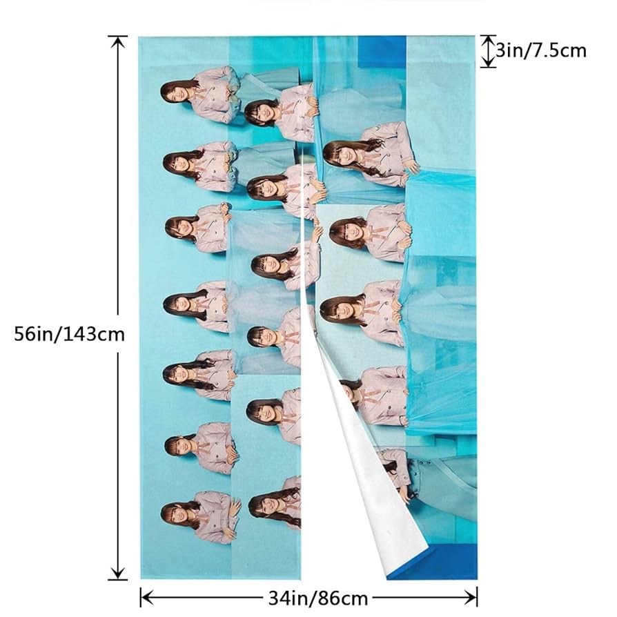 スキルスクリーン No.46風(のれん)新品未使用品です。 2025年最新