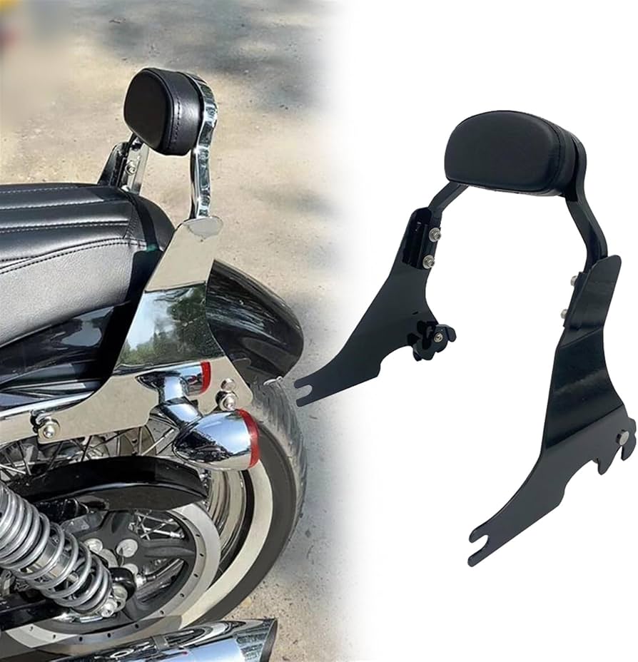 Amazon.co.jp: ローシーシーバー取り外し可能なパッセンジャーバック