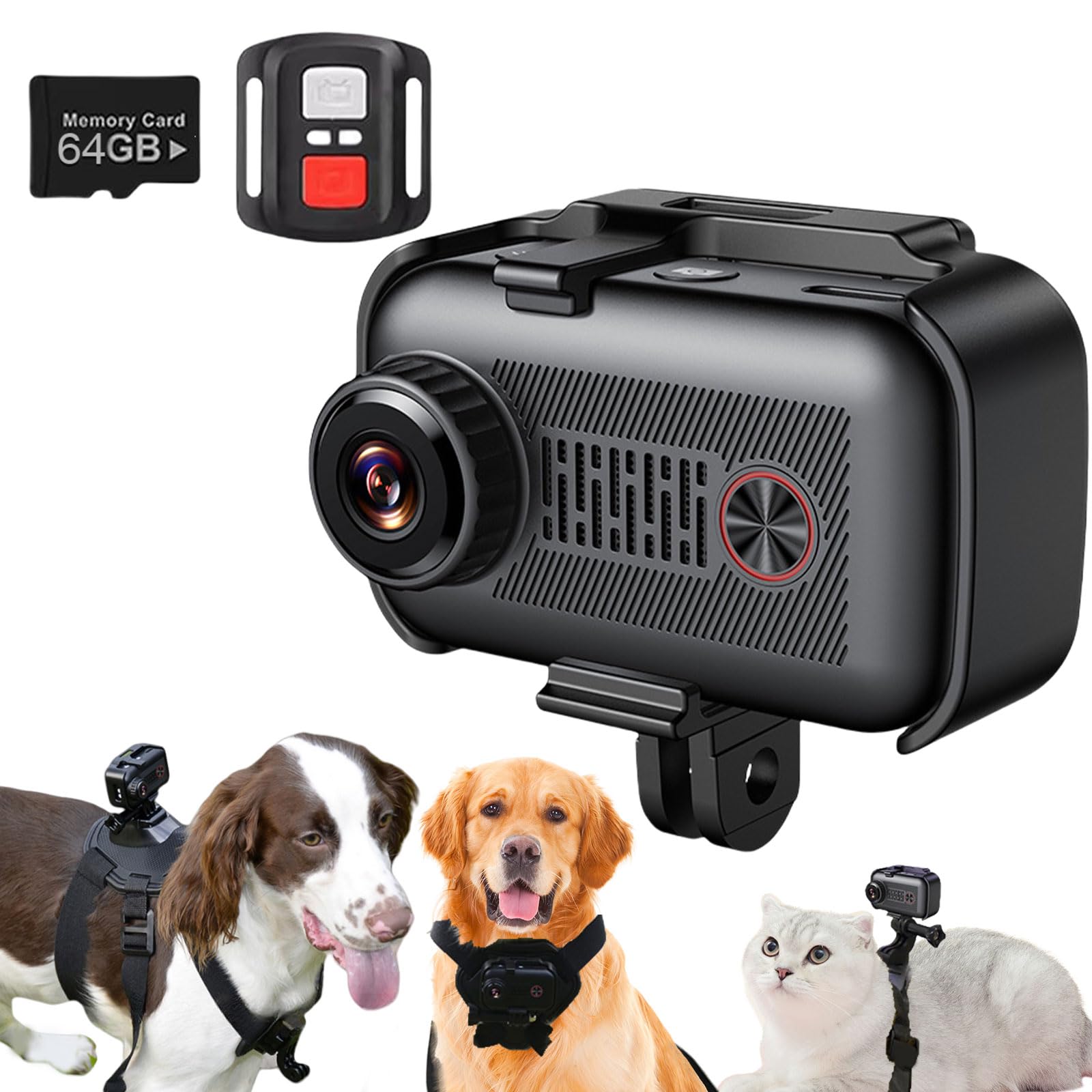 Caméra 2K pour chien et chat - Collier avec carte SD 64 Go - Sans fil