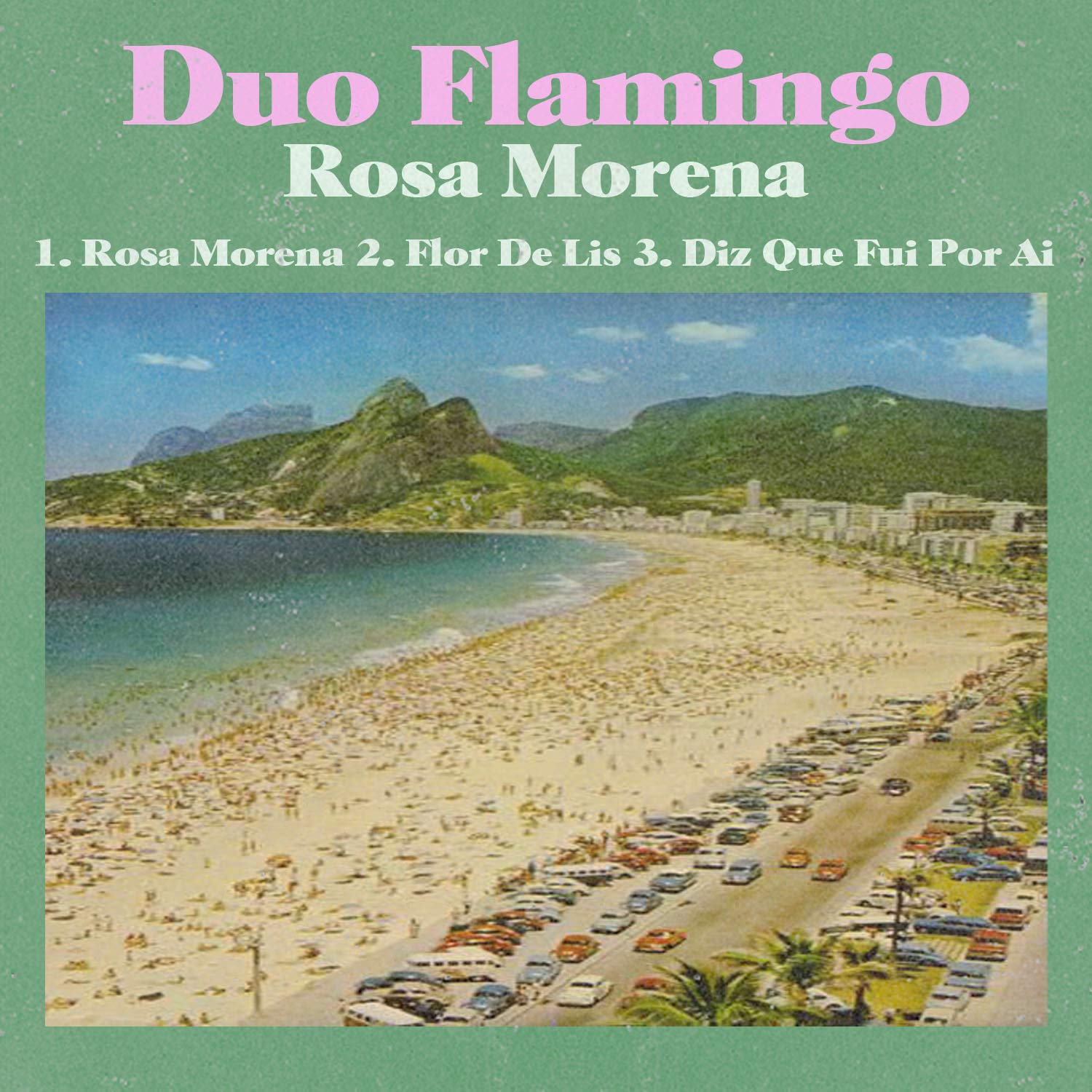 Duo Flamingo