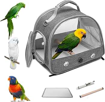 71LFnsZgRpL._AC_UF350,