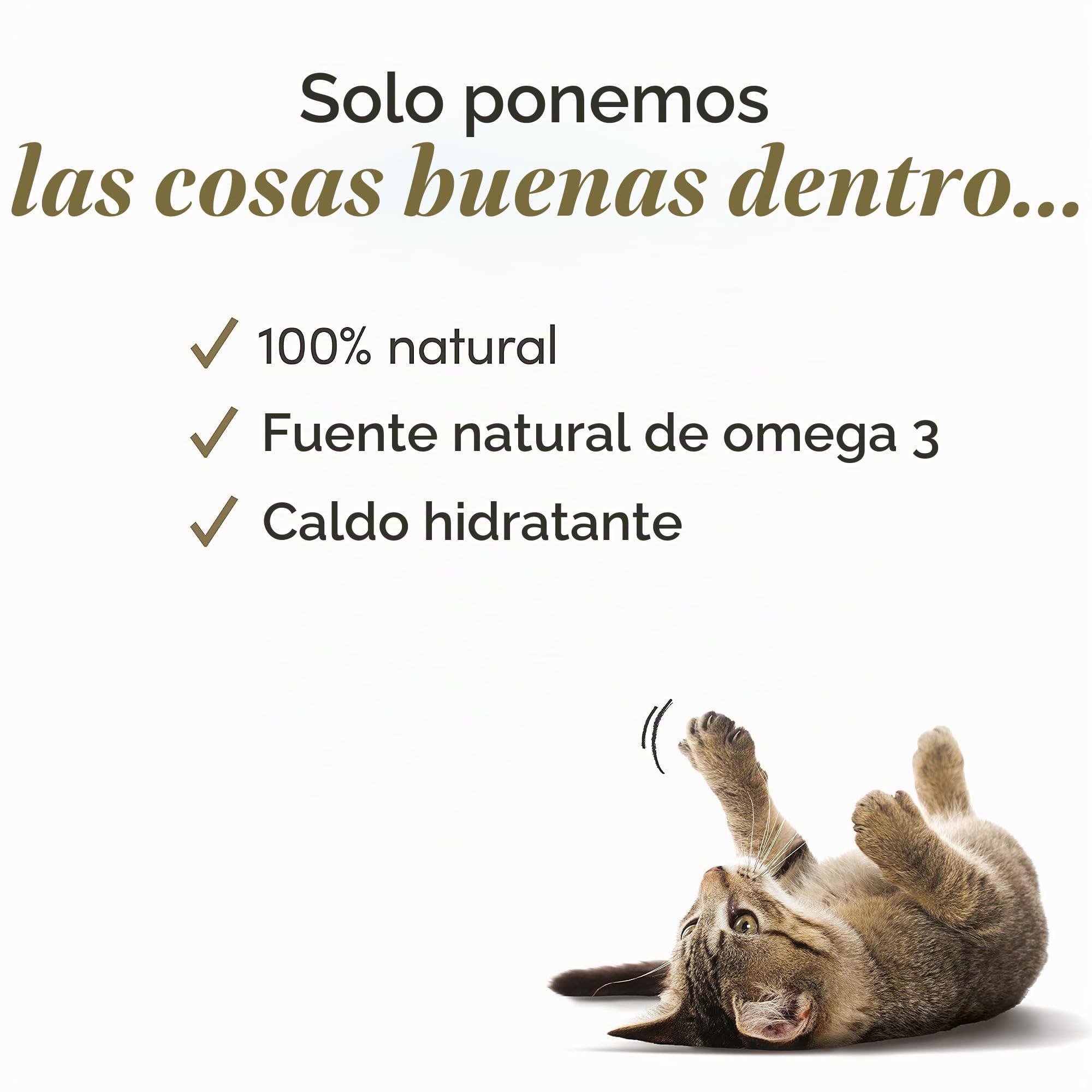 Bundle of Applaws 100% Natural Filete de Atún Comida húmeda en caldo - 24 latas de 70g + Comida húmeda de Pechuga de Pollo 100% Natural de Applaws para gatos adultos en caldo - 24 latas de 70g