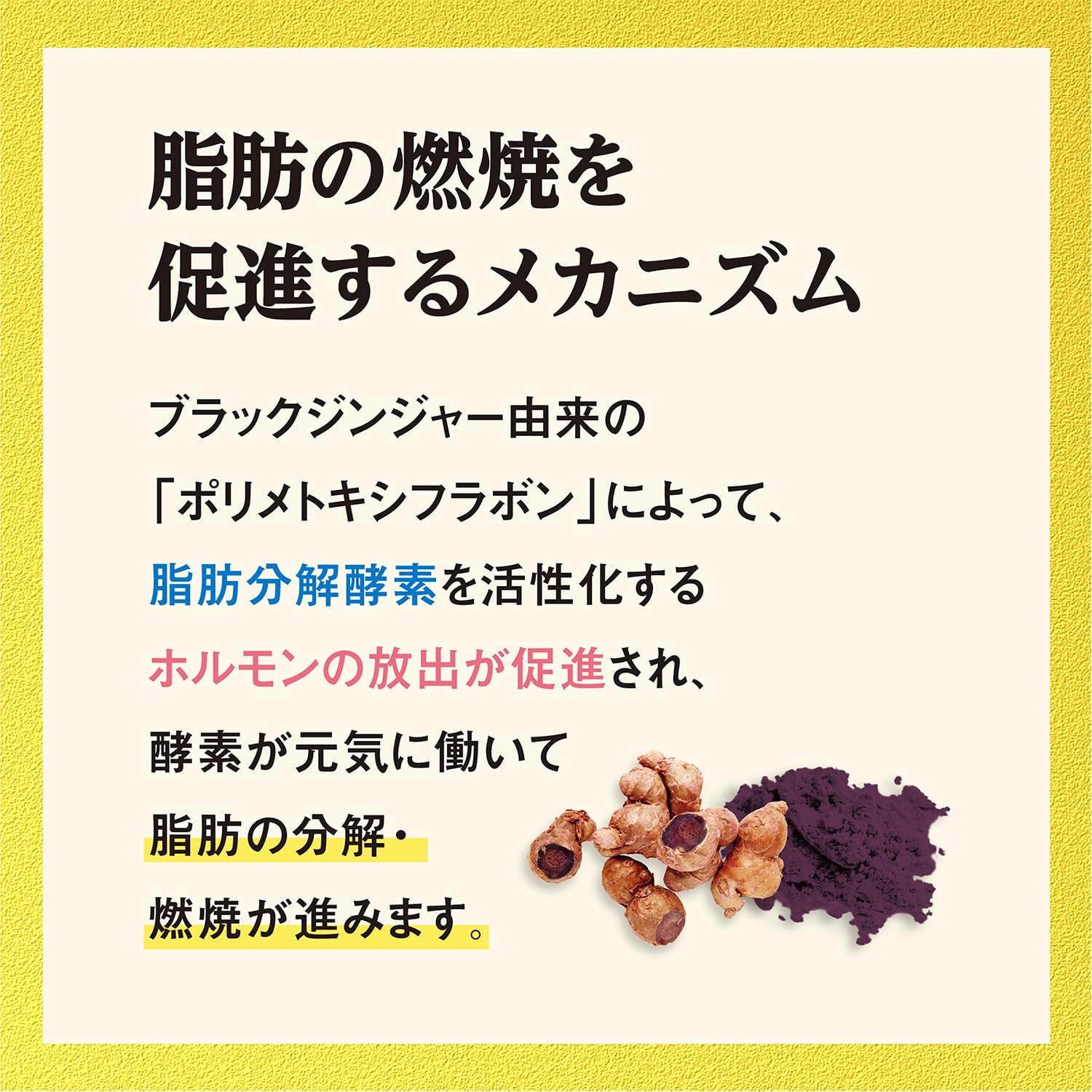 Amazon | 小林製薬の栄養補助食品 [ 公式 ] ナイシヘルプ【 内臓脂肪
