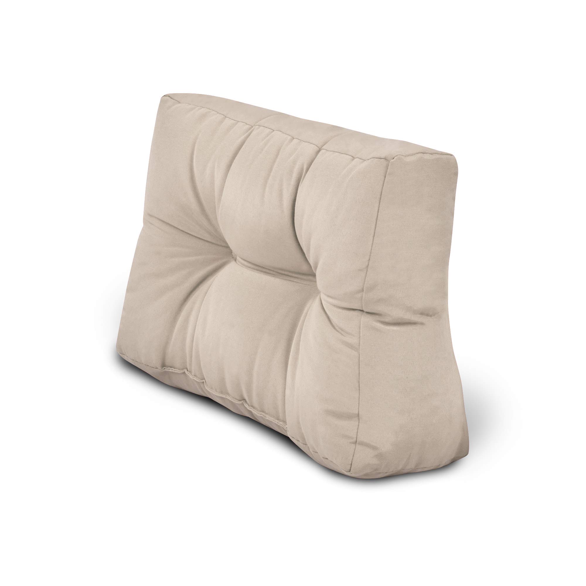 Beautissu 2X Cojines para Palets de Respaldo Silla 60x40 cm Natural - 10 cm de Espesor Cojines Sofa Palets Exterior y Interior - Robustos Cuidado Fácil - Eco Style