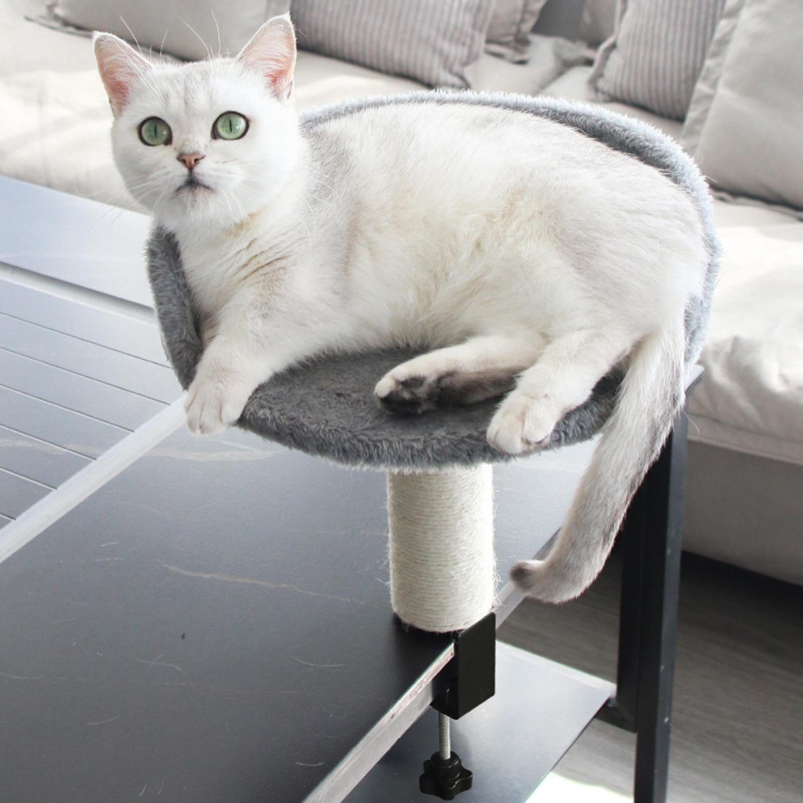 Cama para Gatos Montada En Escritorio Extraíble - Cama para Gatos Que Se Sujeta Al Escritorio - Colchón Suave Cómodo para Interior Dormitorio Sala Apartamento Hogar Mascotas Felinos