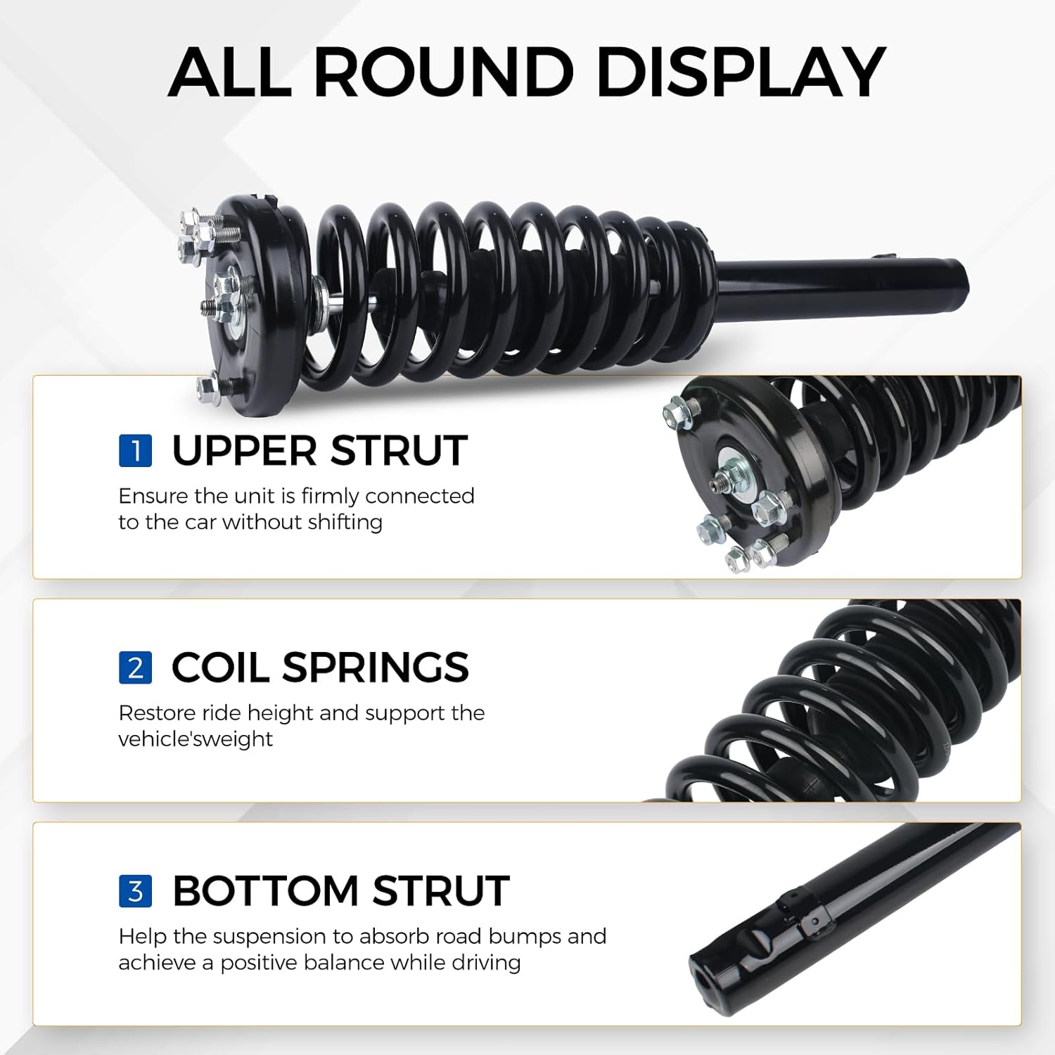 PAROD Shock Absorber Strut Fit for Honda Accord 2003 2004 2005 2006 2007 Front w/Coil Spring Assembly #172123L 172123R Passenger & Drive Side