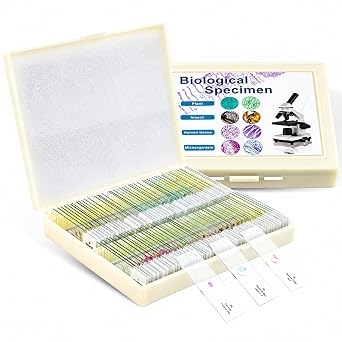 100 Prepared Microscope Slides with Specimens for Kids Adults - Slide Set