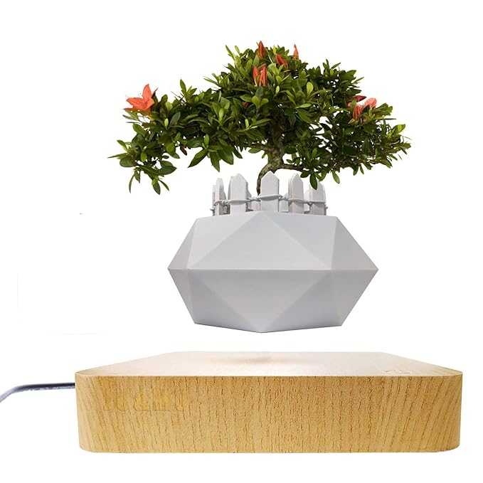 JU&MU Levitating Air Bonsai Pot Rotation Flower Pot Planters
